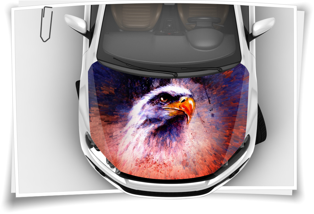 Adler USA Indianer Vogel Motorhaube Auto-Aufkleber Steinschlag-Schutz-Folie  Airbrush Tuning – Auto-Aufkleber