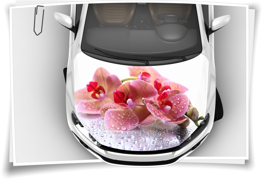Orchidee Blumen Motorhaube Auto-Aufkleber Steinschlag-Schutz-Folie