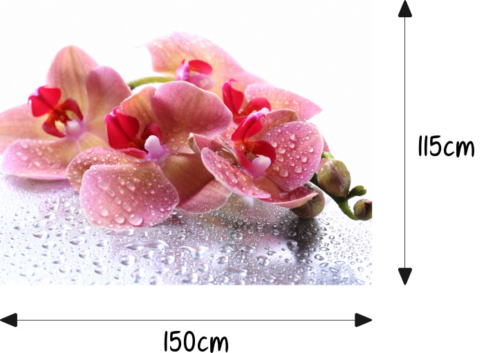 Orchidee Blumen Motorhaube Auto-Aufkleber Steinschlag-Schutz-Folie Airbrush  Tuning – Auto-Aufkleber
