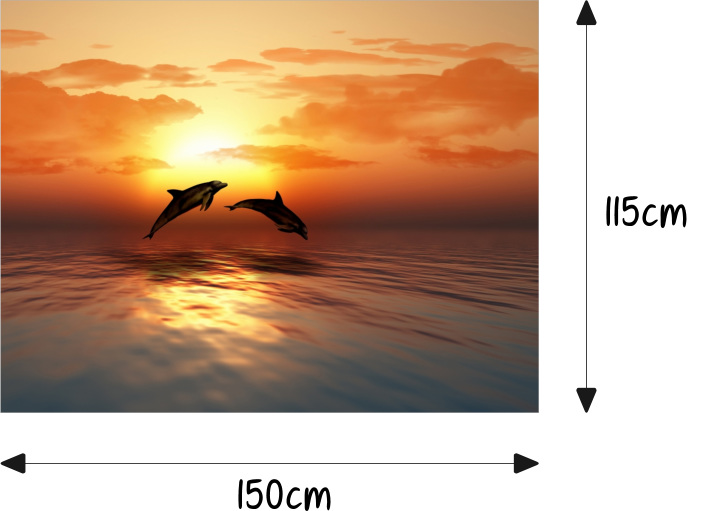 Motorhaube Auto-Aufkleber Delphin Delphine Sonnenuntergang Meer