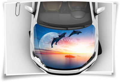 Motorhaube Auto-Aufkleber Delphine Delphin Mond Meer Sonnenuntergang  Steinschlag-Schutz-Folie Airbrush Tuning – Auto-Aufkleber